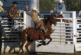 RodeoStudsm.jpg