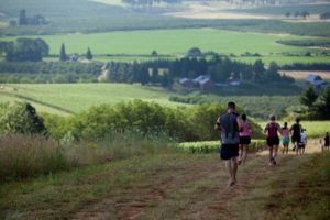 Joggers running down a trail