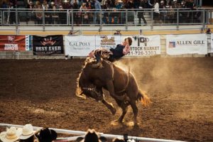 Person riding a bucking bronco