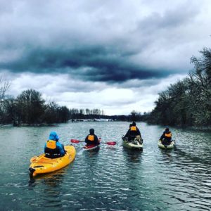 4 people in kayaks on the river