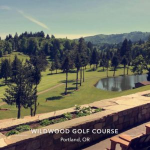 picture of a golf course with a lake and trees